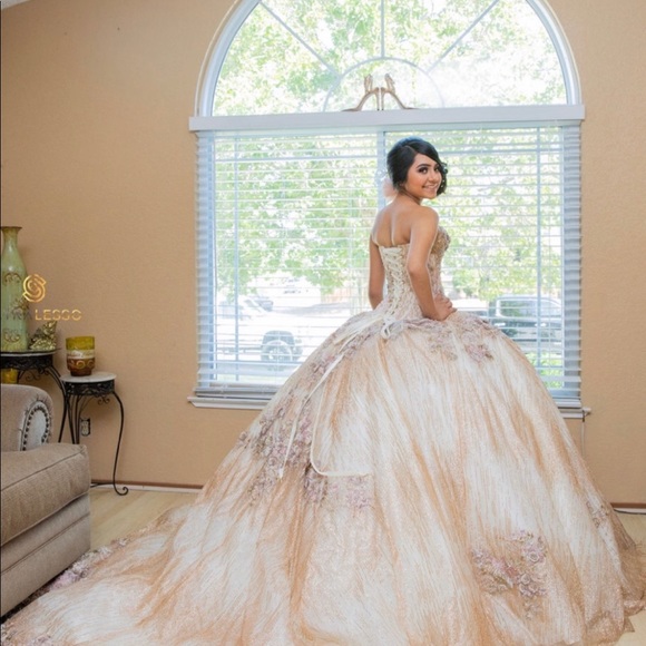Quinceañera Dress - Picture 8 of 8